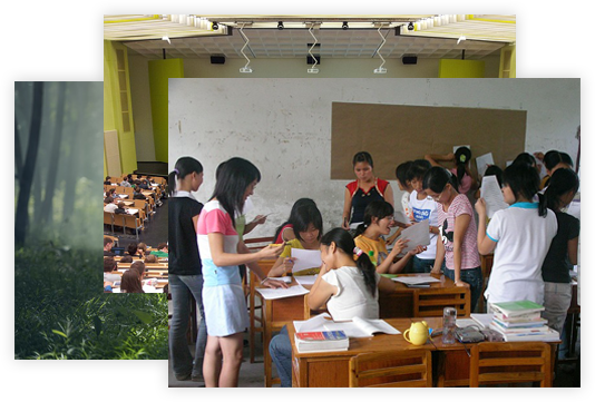 CodeSphere Teaching Approach